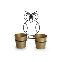 'The Owl Buckets' Wall Planter Pots In Galvanized Iron (Set of 2)