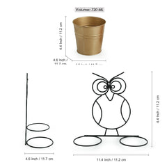 'The Owl Buckets' Wall Planter Pots In Galvanized Iron (Set of 2)