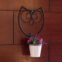 Wide Eyed Owl' Wall Planter Pot In Galvanized Iron (33 cm | 1 Planter Pot)