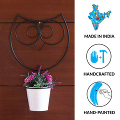 Wide Eyed Owl' Wall Planter Pot In Galvanized Iron (33 cm | 1 Planter Pot)