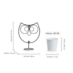 Wide Eyed Owl' Wall Planter Pot In Galvanized Iron (33 cm | 1 Planter Pot)