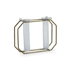 Modern Glass Garden' Test Tube Wall Planter/Vases (17.8 cm | Golden)