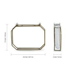 Modern Glass Garden' Test Tube Wall Planter/Vases (17.8 cm | Golden)