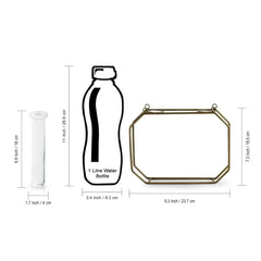 Modern Glass Garden' Test Tube Wall Planter/Vases (17.8 cm | Golden)