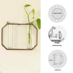 Modern Glass Garden' Test Tube Wall Planter/Vases (17.8 cm | Golden)