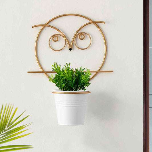 Angry Owl' Wall Planter Pot In Galvanized Iron (25.4 cm | Brass Finish)