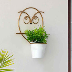Angry Owl' Wall Planter Pot In Galvanized Iron (25.4 cm | Brass Finish)