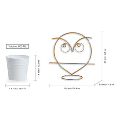 Angry Owl' Wall Planter Pot In Galvanized Iron (25.4 cm | Brass Finish)
