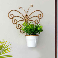 'Svarn Titli' Wall Planter Pot In Galvanized Iron (25.4 cm, Brass Finish)