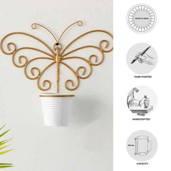 'Svarn Titli' Wall Planter Pot In Galvanized Iron (25.4 cm, Brass Finish)