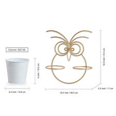 'Owl' Wall Planter Pots In Galvanized Iron (30.5 cm, Brass Finish)
