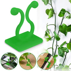 30pcs Climbing Plants Wall Clips (Large Size), Vine Plant Climbing Fixing Clip Hook Invisible Plant Clips for Climbers Plant Wall Clips Plant Support Binding Clip