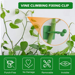 30pcs Climbing Plants Wall Clips (Large Size), Vine Plant Climbing Fixing Clip Hook Invisible Plant Clips for Climbers Plant Wall Clips Plant Support Binding Clip