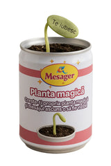 Magic Message Plant