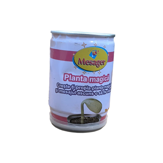 Magic Message Plant