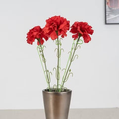 Garden Plants Support Stakes (Pack Of 2), Sturdy Metal Construction for Strong and Healthy Garden Plants