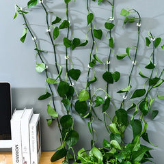 30pcs Climbing Plants Wall Clips (Large Size), Vine Plant Climbing Fixing Clip Hook Invisible Plant Clips for Climbers Plant Wall Clips Plant Support Binding Clip